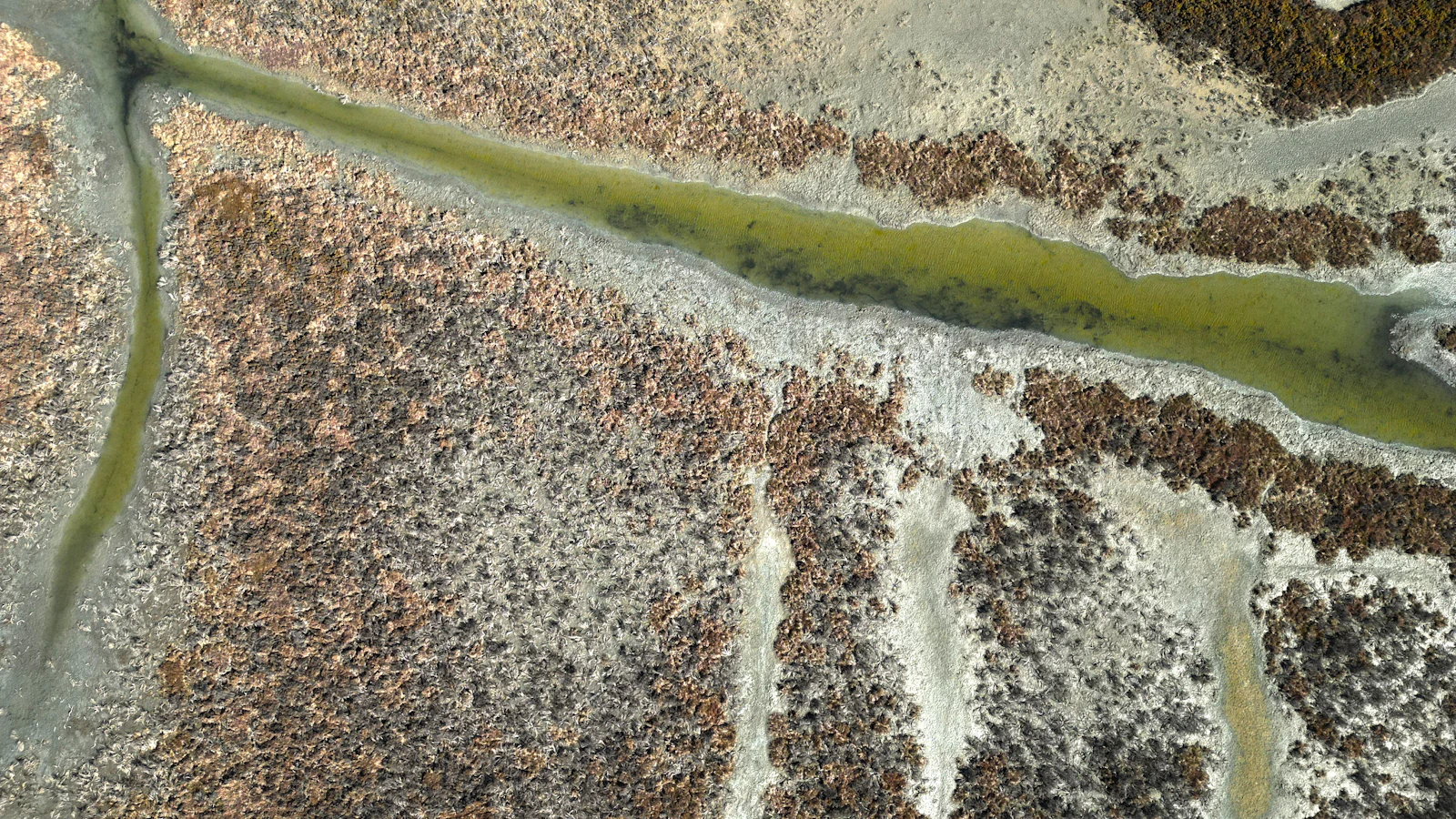 Aerial view of a green strip of water crossing dry ground, with pale crust in the side channels